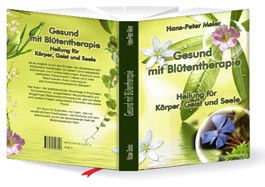 BuchCover Titelgestaltung