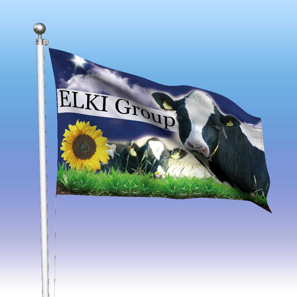 Flaggendesign Elki Milchproduktion Reetz GmbH & CoKG te Reetz Wiesenburg