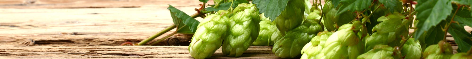 Webdesign Brauerei Leistungen designed4you Webdesign Printdesign Internet Agentur