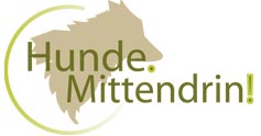 Hunde Mittendrin Zirndorf 
