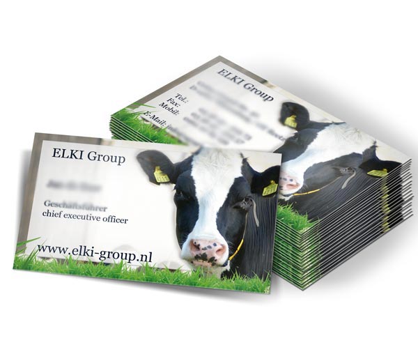 Visitenkarte für Elki Milchproduktion Reetz GmbH & CoKG te Reetz Wiesenburg 